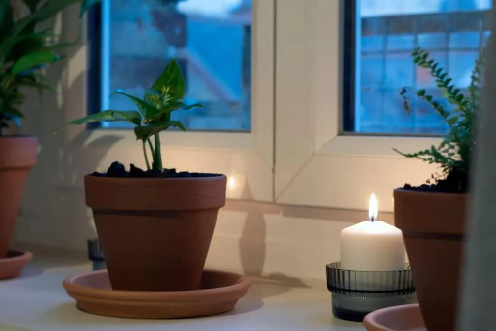 Ty Ar Kazarn Foch - Colombier - Champ-De-Mars Apartment Rennes